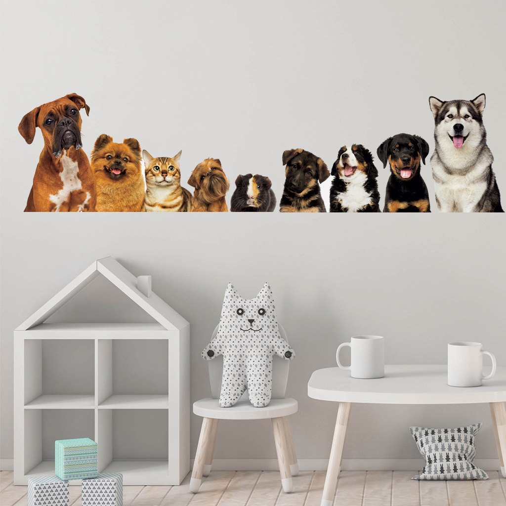 C30 #   9 gatos fofos e cães a - Home Cinema Wall avaliação e preço